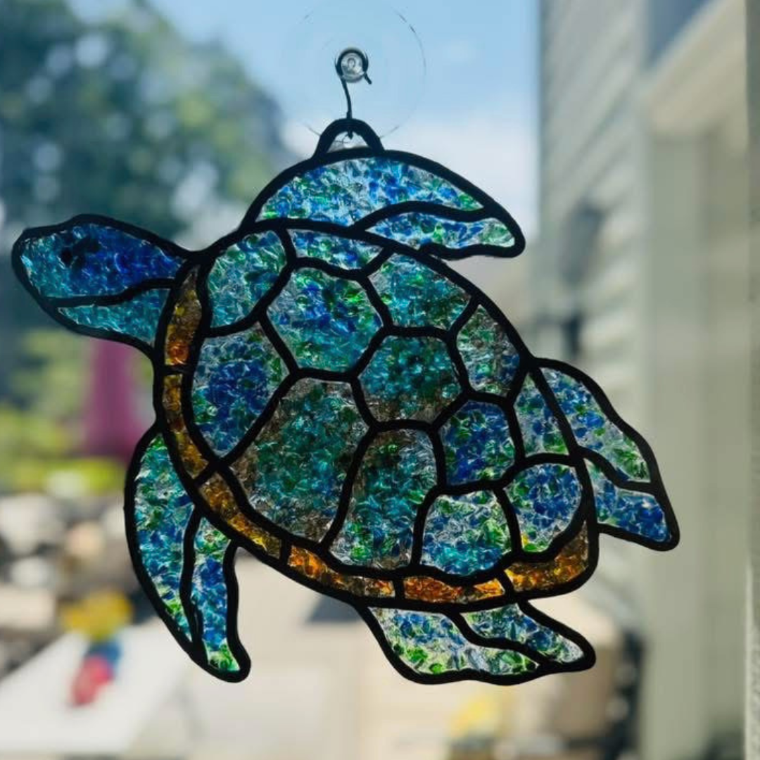 Coastal Turtle